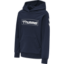 Hummel Bpys Kids box Hoodie