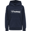 Hummel Bpys Kids box Hoodie