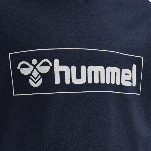 Hummel Bpys Kids box Hoodie