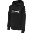 Hummel Bpys Kids box Hoodie