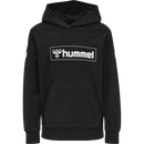 Hummel Bpys Kids box Hoodie