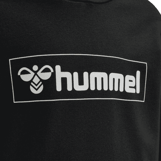 Hummel Bpys Kids box Hoodie