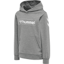 Hummel Bpys Kids box Hoodie