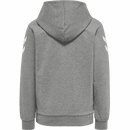 Hummel Bpys Kids box Hoodie