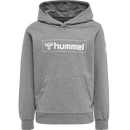 Hummel Bpys Kids box Hoodie