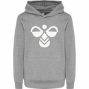 Hummel Boys Kids cuatro Hoodie