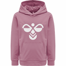 Hummel Boys Kids cuatro Hoodie