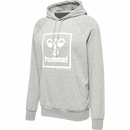 Hummel Men's Isam 2.0 Hoodie