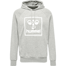 Hummel Men's Isam 2.0 Hoodie