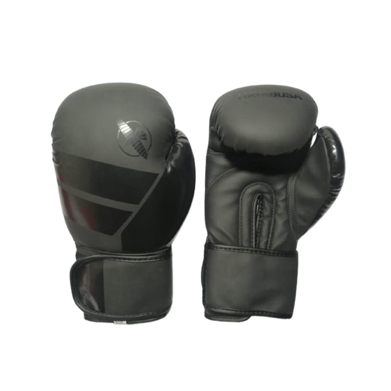 Hayabusa Boxing Gloves