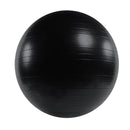 Gym Fitness Ball