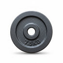 1 Piece Iron Weight Plate 2.8 CM Diameter Grey