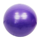 Gym Fitness Ball