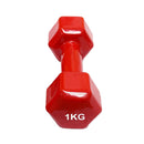 1 Piece Vinyl Dumbbell