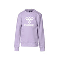 Hummel Boys Kids Artemis Sweatshirt