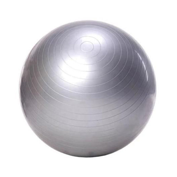 Gym Fitness Ball Silver