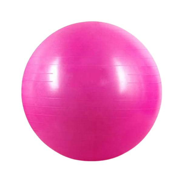 Gym Fitness Ball Pink
