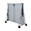 Giant Dragon Outdoor Table Tennis Table + 2 Giant Dragon Tai Chi 3 Star Rackets and 6 Giant Dragon Silver