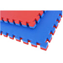 1 Piece Puzzle Mat, Blue/Red, T pattern Multipurpose 2 cm thick 1M x 1M