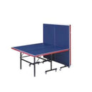 Oryx Indoor Table Tennis Table 15 mm + 2 Giant Dragon Tai Chi 3 Star Rackets and 6 Giant Dragon Silver