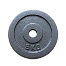 1 Piece Iron Weight Plate 2.8 CM Diameter Grey