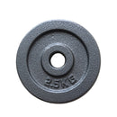 1 Piece Iron Weight Plate 2.8 CM Diameter Grey
