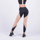 SQUATWOLF Women The Moto Legging